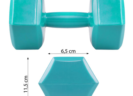 Dumbbell Set - 2,5 KG - Blauw - Oefengewichten