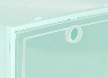 Schoenenbox | Sneakerbox | Kunststof | Groen | 1 Stuk | 31 x 21.5 x 12.5 cm