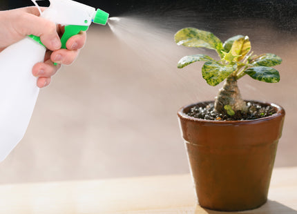 Drukspuit - Handmatig - Planten - 500 ML