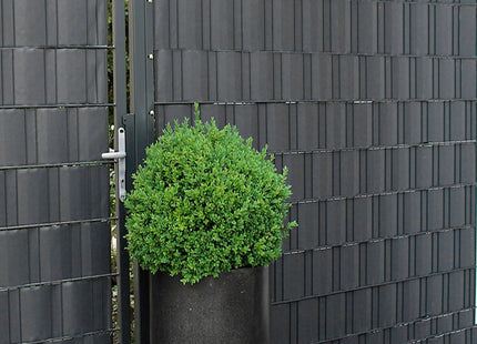 Vlechtband | Privacyfolie | Vlechtband Voor Tuinafsluiting | PVC | 35 m | Antraciet