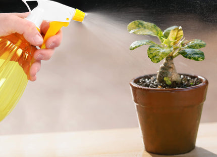 Drukspuit - Bloemenspuit - Handmatig - Planten - Geel - 500 ML