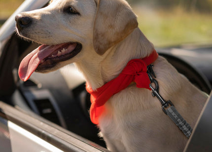 Autogordel Hond - Hondengordel - Veiligheidsgordel - Autoriem - Verstelbaar - Polyester