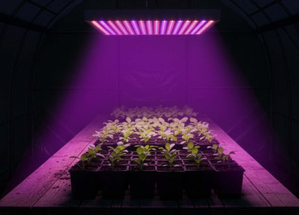 Kweeklamp - Led Voor Planten - Hangend - Groeilamp - Grow Light - Bloeilamp - Plantenverlichting -  Met TImer - 225 Led -