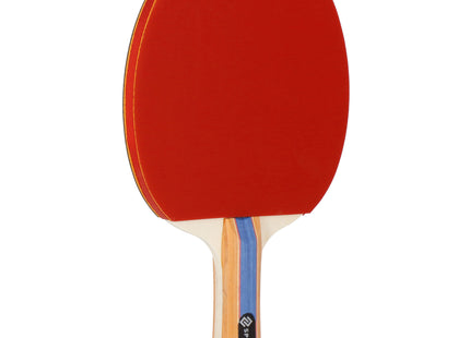 Tafeltennis Set - Ping Pong - Inclusief 2 Batjes - 3 Ballen - Opberghoes