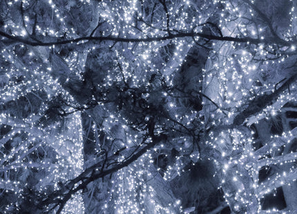 Kerstverlichting | 60 m | 1000 LED | Koud Wit