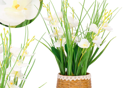 Kunst Orchidee - Kunstplanten -Inclusief Pot - Wit - Decoratief - 44 cm