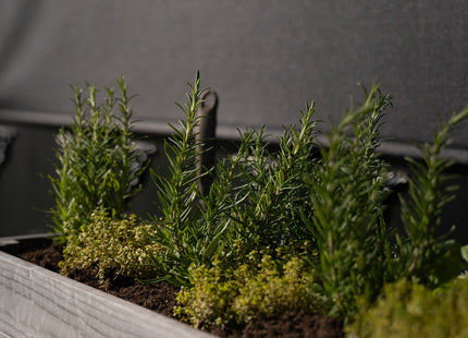 Kweekbak - Plantenbak - Moestuin - Planten - Hout - Geïmpregneerd - Rechthoekig - Grijs - 80 x 40 x 78 Cm