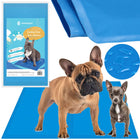 Koelmat Hond | Actieve Verkoelende Gel | 1 Stuk | 40 x 30 cm | Blauw