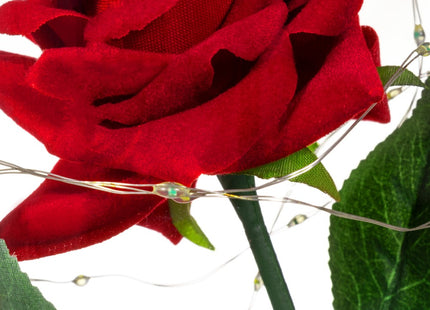 Roos | Valentijn | Rozen | LED | 22 cm | Rood/Groen/Zwart | Warm wit