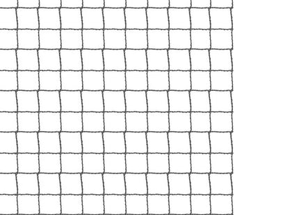 Badminton Net - Professioneel - Verstelbaar - Inclusief draagtas - 125-170 x 560 cm