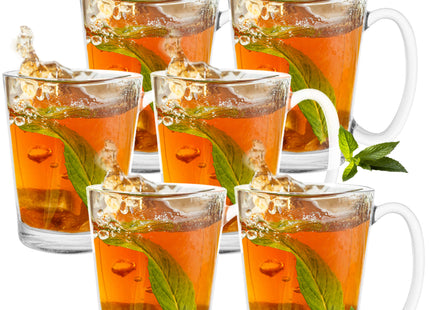 Koffie- en theeglazen Set van 6 - Handvat - 300 ML