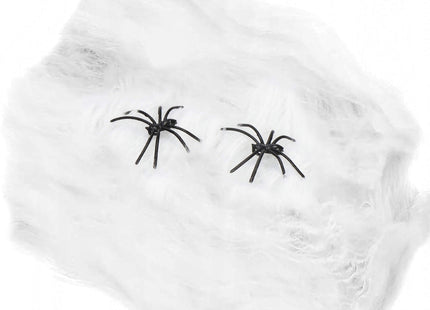Halloween Decoratie - Spinnenweb - 1.9 M