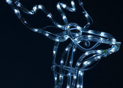 Rendier | 216 LED Lampjes | Koel Wit