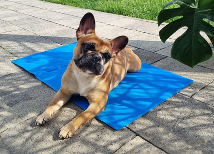 Koelmat Hond | Actieve Verkoelende Gel | 1 Stuk | 90 x 50 cm | Blauw