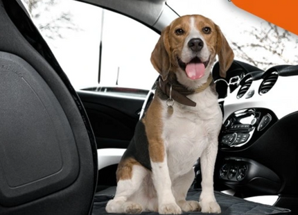 Autostoelhoes Voor Honden - Autostoelbeschermer- Stoelhoes - Bescherming - Eco - Zwart - Universeel