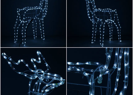 Rendier | 216 LED Lampjes | Koel Wit