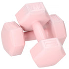 Dumbbell Set - 2 KG - Roze - Oefengewichten
