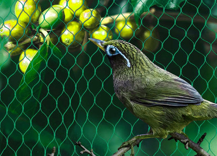 Vogelnet - Vogelgaas - Anti- Vogelnet - Ongedierte en Vogelbestrijding - 8 x 20 M - Inclusief Bevestigingsankers -20 Stuks