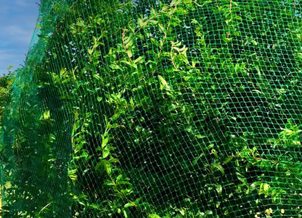 Vogelnet - Vogelgaas - Anti- Vogelnet - Ongedierte en Vogelbestrijding - 8 x 20 M - Inclusief Bevestigingsankers -20 Stuks