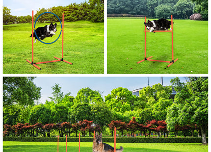Agility voor de hond - Hondentunnel - Draagzak - 20 Delig