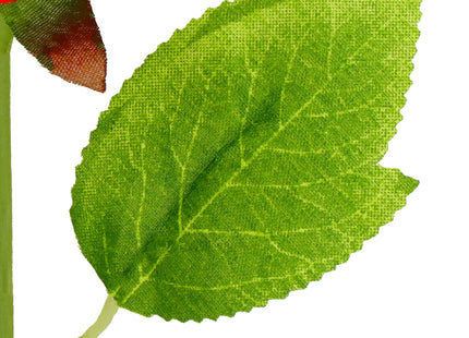 Eeuwige Roos - Geschenkdoos - Geschenkbloem - Liefde - Valentijnsdag - 27 cm