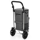 Boodschappentrolley - Boodschappenkrat - Opvouwbaar - Met Twee Wielen - Grijs - Zwart - 42 L - 30 KG - 100 x 47 CM