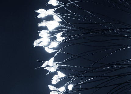 Kerstverlichting | Ster | Binnen & Buiten | Batterij | 100 LED | Koel Wit