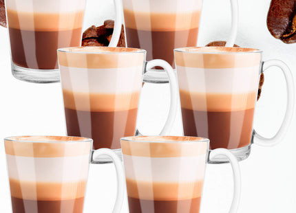 Koffie- en theeglazen Set van 6 - Handvat - 300 ML