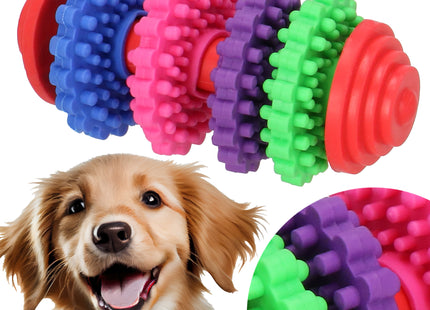 Hondenspeelgoed - Kauwbeen - Apporteren -Honden - Speeltje -Meerkleurig - 9,5 cm