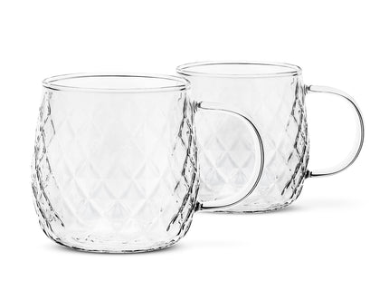 Glas Voor Koffie & Thee - Set Van 2 - Met Oor - Koffieglas - Thee glas - Warme en Koude dranken -350 ML