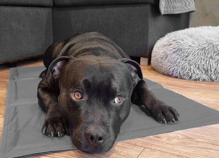 Koelmat Hond | Actieve Verkoelende Gel | 65 x 50 cm | Grijs