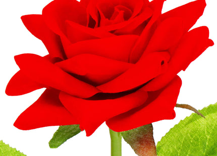 Eeuwige Roos - Geschenkdoos - Geschenkbloem - Liefde - Valentijnsdag - 27 cm