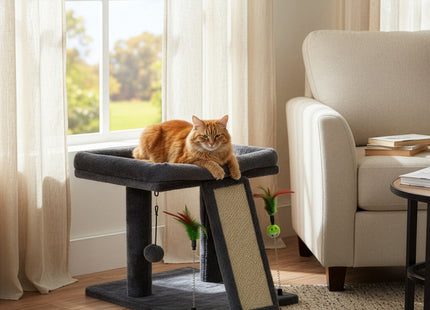Krabpaal - 2 Etages - Voor Katten - Kattenhengels - Kattenspeelgoed -  Meubelbescherming - Met Ladder - 31X31X62 cm - Grafiet