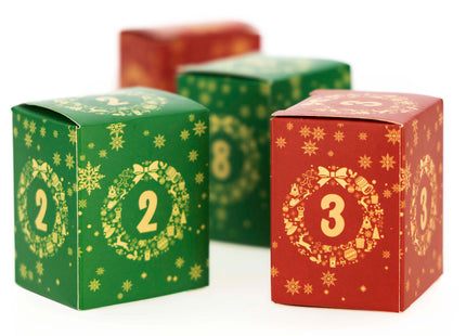 Adventskalender met Bouwblokken – 618 Onderdelen – 24 Verrassingen – Kerstfiguren