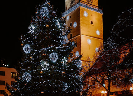 Kerstverlichting | 50 m | 1000 LED | Koel Wit