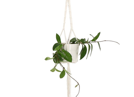 Plantenhanger - Plantenhanger Macrame - 90 cm - Wit