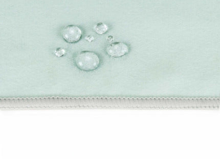 Strandlaken | Badlaken | Sneldrogend | Strandhanddoek | Microvezel | 180 x 100 cm | Mint