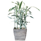 Plantensteun - Metaal - Bloemen - Groen - Set Van 3 - 75 Cm