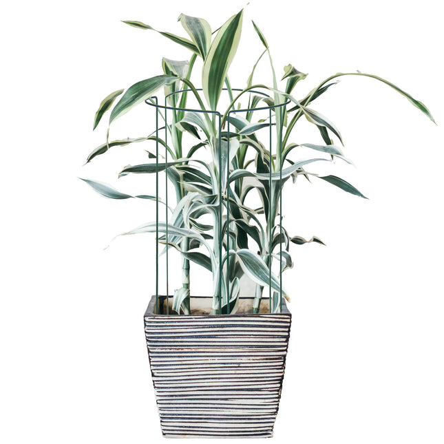Plantensteun - Metaal - Bloemen - Groen - Set Van 3 - 75 Cm