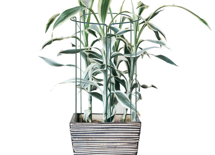Plantensteun - Metaal - Bloemen - Groen - Set Van 3 - 75 Cm