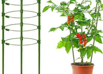Plantensteun - Ringsteun - Bloemen - Groen - 91 Cm