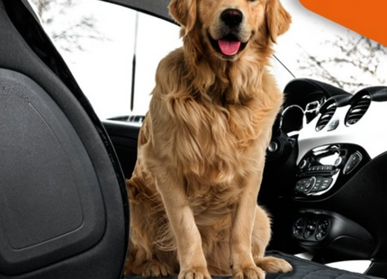 Autostoelhoes Voor Honden - Autostoelbeschermer- Stoelhoes - Bescherming - Eco - Zwart - Universeel