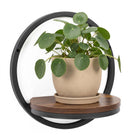 Wandstandaard - Plantenrek - Staal - 26 x 26  Cm - Zwart/Bruin - 5 Kg