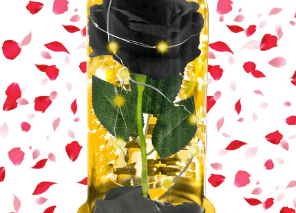 Eeuwige Roos - Geschenkbloem - LED - Decoratie - In Glas - Valentijnsdag- Zwart - 21 cm