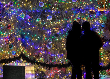 Kerstverlichting | 81,5 m | 1000 LED | Multicolor + Koel Wit Flits