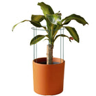 Plantensteun - Metaal - Bloemen - Groen - Set Van 3 - 45 Cm