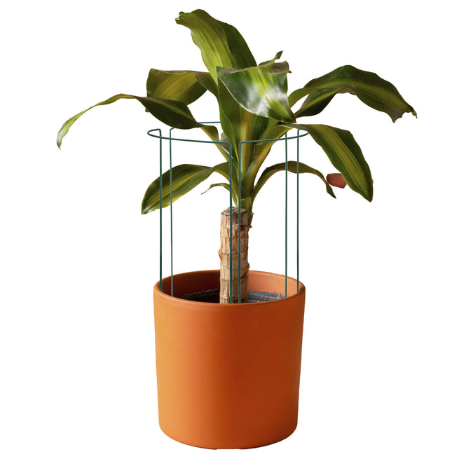 Plantensteun - Metaal - Bloemen - Groen - Set Van 3 - 45 Cm