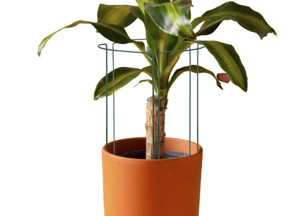 Plantensteun - Metaal - Bloemen - Groen - Set Van 3 - 45 Cm