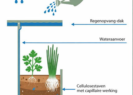 Kweekbak - Plantenbak - Moestuin - Irrigatiesysteem - Verhoogd - Verstelbaar - Planten