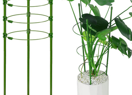 Plantensteun - Ringsteun - Bloemen - Groen - 60 Cm